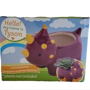 Tiny Purple Triceratops Planter DT1